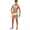 imageSpeedo Mens Swimsuit Brief Endurance The OneGold