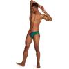imageSpeedo Mens Swimsuit Brief PowerFlex Eco SolarBlock Douglas Fir