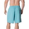 imageSpeedo Mens Swim Trunk Big and Tall RedondoPorcelain