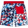 imageSpeedo Boys Swim Trunk Knee Length Boardshort EBoard PrintedCafe Check