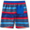 imageSpeedo Boys Swim Trunk Knee Length Boardshort EBoard PrintedCity to Surf Turkish Sea