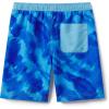 imageSpeedo Boys Swim Trunk Knee Length Boardshort EBoard PrintedSea Basin Beach Glass