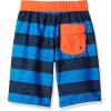 imageSpeedo Boys Swim Trunk Knee Length Boardshort EBoard PrintedStripe Bright Ocean