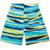 imageSpeedo Boys Swim Trunk Mid Length Redondo PrintedParty Ceramic