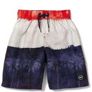 imageSpeedo Boys Swim Trunk Knee Length Boardshort EBoard PrintedBillion Beach High Risk Red