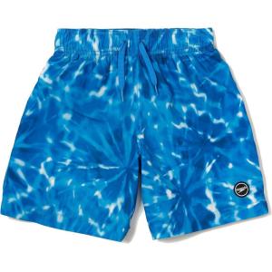 imageSpeedo Boys Swim Trunk Mid Length Redondo PrintedElectric Blue Lemonade