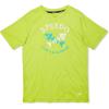 Acid Lime