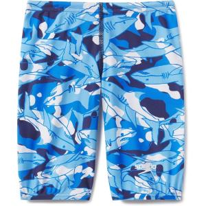 imageSpeedo Boys Swimsuit Jammer Begin to Swim SolidShark Chalk Scuba Blue