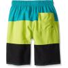 imageSpeedo Boys Swim Trunk Knee Length Blocked VolleyDiscontinuedMarine Green