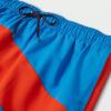 imageSpeedo Mens 75quot Volley Swim Trunks Blue Palace Beach Print