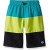 imageSpeedo Boys Swim Trunk Knee Length Blocked VolleyDiscontinuedMarine Green