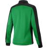 imageSpeedo Mens Jacket Full Zip Collard Streamline Team Warm UpBlackGreen