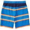 imageSpeedo Mens Swim Trunk Knee Length Tech VolleySpeedo Blue Stripe
