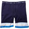 imageSpeedo Mens Swim Trunk Knee Length Tech VolleySpeedo Blue Stripe