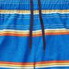 imageSpeedo Mens Swim Trunk Knee Length Tech VolleySpeedo Blue Stripe