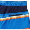 imageSpeedo Mens Swim Trunk Knee Length Tech VolleySpeedo Blue Stripe