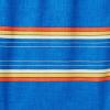 imageSpeedo Mens Swim Trunk Knee Length Tech VolleySpeedo Blue Stripe