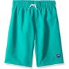 imageSpeedo Boys Swim Trunk Knee Length Solid VolleyColumbia