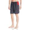 imageSpeedo Mens Swim Trunk Knee Length Marina Sport VolleyGranite