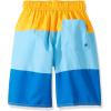 imageSpeedo Boys Swim Trunk Knee Length Blocked VolleyAutumn