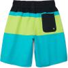 imageSpeedo Boys Swim Trunk Knee Length Blocked VolleyCeramic