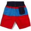 imageSpeedo Boys Swim Trunk Knee Length Blocked VolleyHigh Risk Red