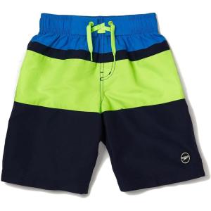 imageSpeedo Boys Swim Trunk Knee Length Blocked VolleyElectric Blue Lemonade