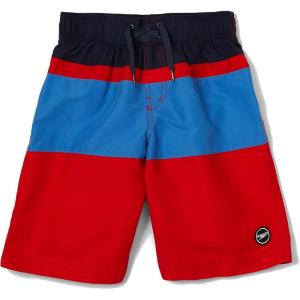 imageSpeedo Boys Swim Trunk Knee Length Blocked VolleyHigh Risk Red
