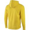 imageSpeedo UnisexAdult Sweatshirt Hoodie Pull Over Team Warm UpSpeedo Yellow