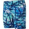 imageSpeedo Boys Swimsuit Jammer Begin to Swim SolidBreezy Palm