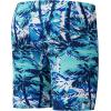imageSpeedo Boys Swimsuit Jammer Begin to Swim SolidBreezy Palm