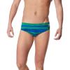 Contort Speedo Blue/Green