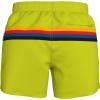 imageSpeedo Mens Swim Trunk Short Length Redondo StripedHorizontal Bitterlime