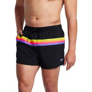 imageSpeedo Mens Swim Trunk Short Length Redondo StripedHorizontal Anthracite