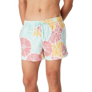 imageSpeedo Mens Swim Trunk Short Length Redondo StripedOcean Burst