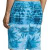 imageSpeedo Mens Palm Stripe EBoard Swim Trunk Shorts Ocean Breeze Small