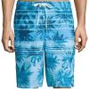 imageSpeedo Mens Palm Stripe EBoard Swim Trunk Shorts Ocean Breeze Small