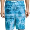 imageSpeedo Mens Palm Stripe EBoard Swim Trunk Shorts Ocean Breeze Small