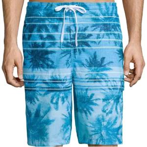 imageSpeedo Mens Palm Stripe EBoard Swim Trunk Shorts Ocean Breeze Small