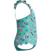 imageSpeedo Girls Swimsuit Infant to Big Kid UPF 50 Learn to SwimFrill 1pc Arctic Glass