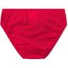 imageSpeedo Boys Swimsuit Brief Endurance Solid YouthTeam Red