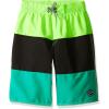 imageSpeedo Boys Classic Stripe Blocked Volley 18 BottomSport Neon